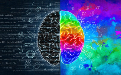 Right-brained, left-brained – what does it mean?